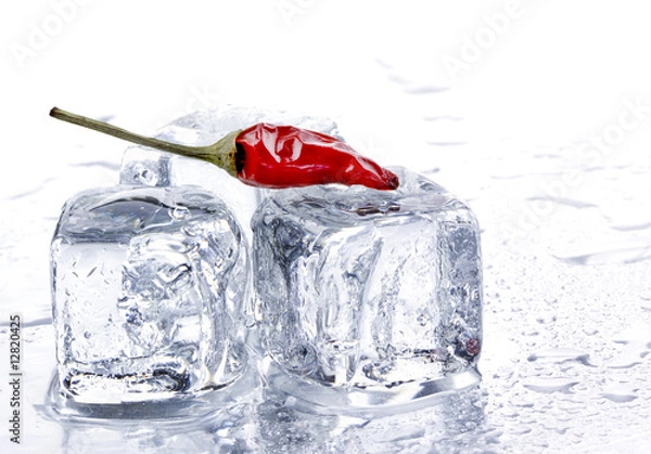 Obraz red pepper and ice cubes