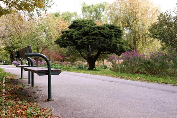 Fototapeta Alley and bench in Donaupark, Vienna, Austria - selective focus