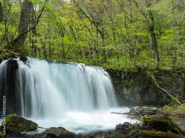 Obraz 奥入瀬渓流の銚子大滝