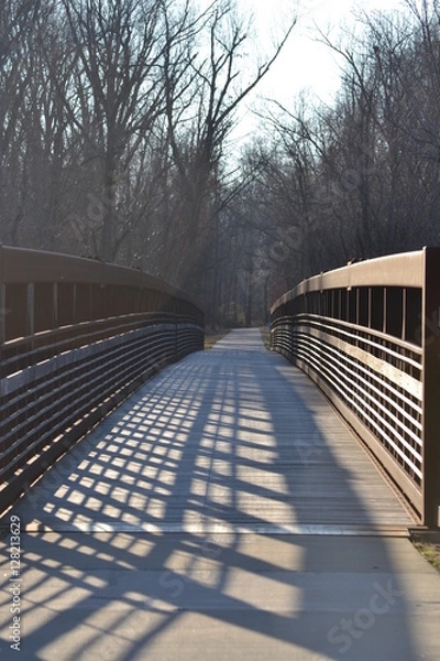 Fototapeta Winter walk