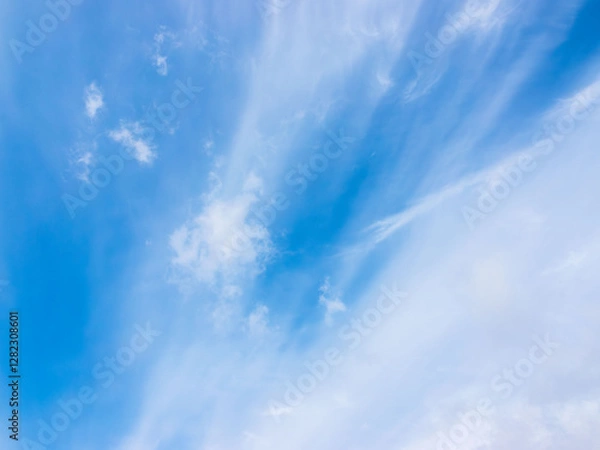 Fototapeta 冬の青空と雲114