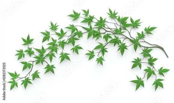 Fototapeta Green maple leaves arranged elegantly on a white background, ideal for nature-themed designs