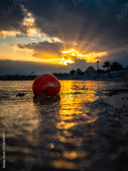 Obraz sunset on the beach