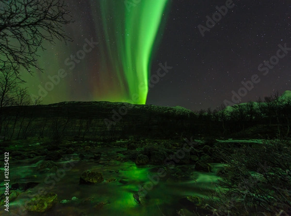 Fototapeta The polar lights in Norway 