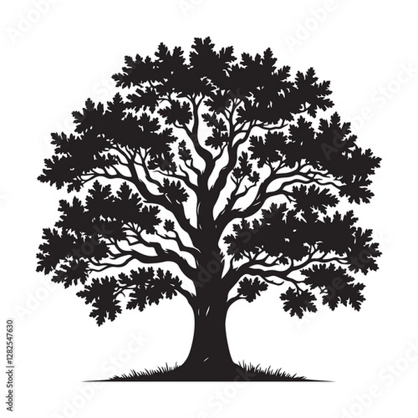 Fototapeta Oak tree with leaves silhouette  Silhouette Vector Illustration, Solid White Background.