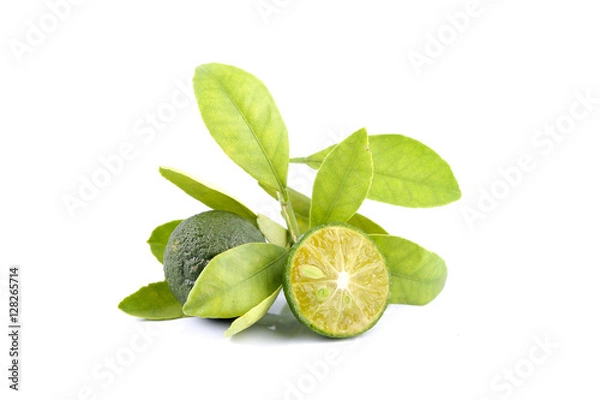 Obraz Group of green calamondin and leaf used instead of lemon isolated on white background