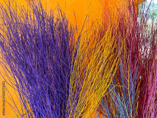 Obraz Colorful Dry Broom Weed On Bright Orange Wall Background At Mukdahan, Thailand. 08 Nov 2024. A.M.
