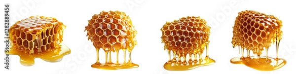 Fototapeta set of A detailed beehive dripping fresh honey, a honey-filled journey of a bee, fresh honey dripping from a detailed beehive, golden honey flowing from a beehive, on a transparent backgrounds