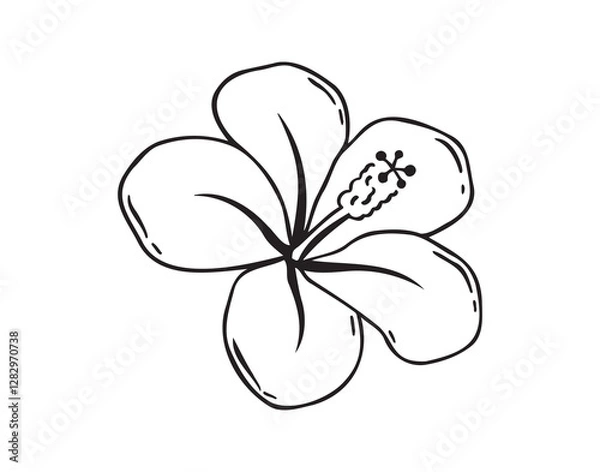 Fototapeta Hand drawn hibiscus flower, chinese rose doodle icon. Hibiscus outline icon, simple vector line clipart drawing, black and white isolated image on a white background.