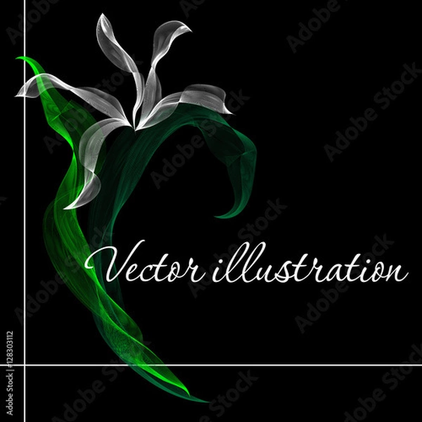 Fototapeta Vector illustration white flower