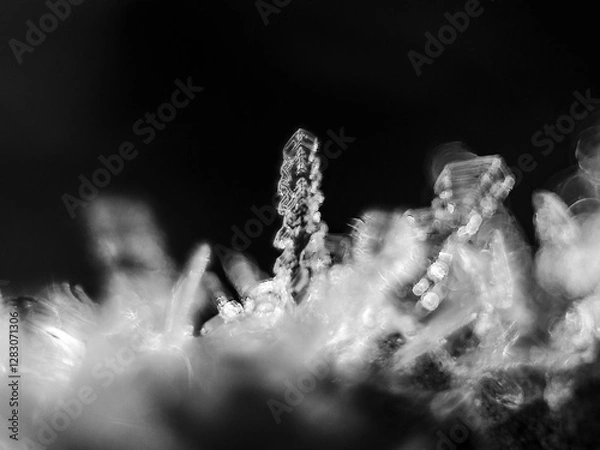 Fototapeta crystal on black background