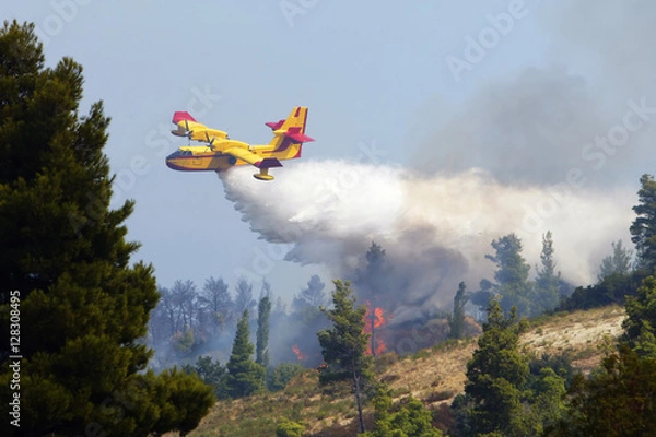Obraz Firefghter water bomber airplane dumping its load
