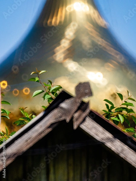 Fototapeta tree in the sky