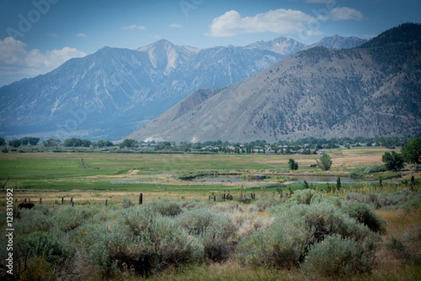 Fototapeta Carson Valley
