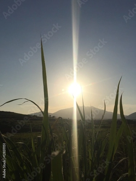 Fototapeta Mexican Sunrise