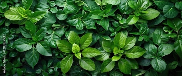 Obraz Lush green foliage background featuring various shades and textures of fresh leaves for nature and botanical themes.