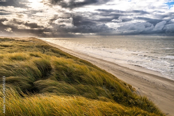 Obraz La plage et les dunes entre Quend-Plage et la Baie de Somme