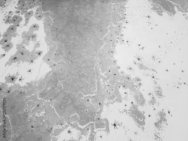 Obraz Iced lake from above