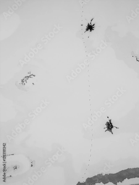 Obraz Snow from above