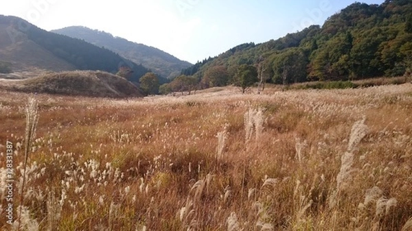 Fototapeta 砥峰高原