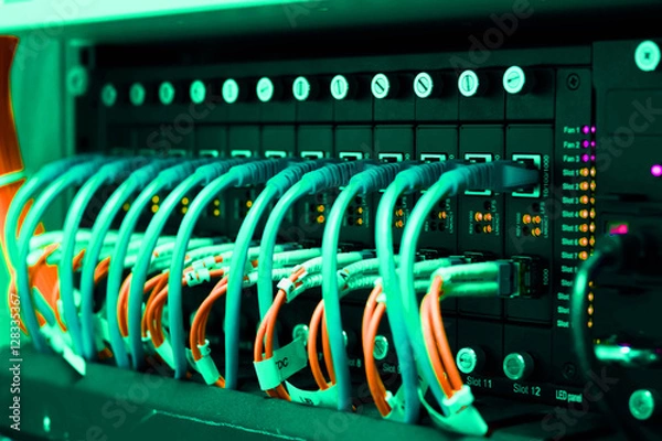 Obraz Network switch and ethernet cables