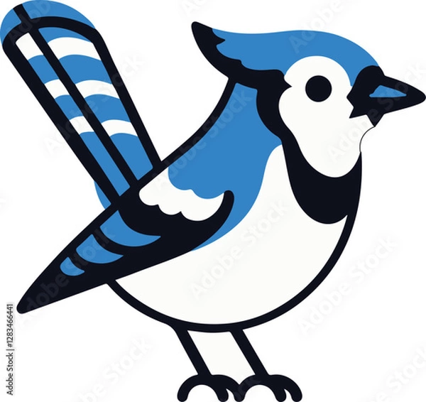 Obraz A simple Blue Jay with white background