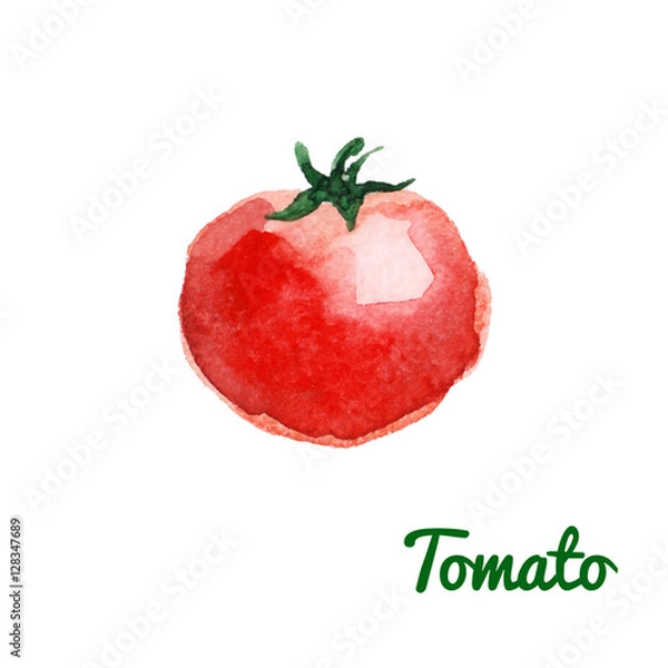 Obraz Watercolor tomato