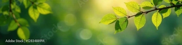 Obraz Family relation line icon with tree branch and leaves, family ties, kinship, connection