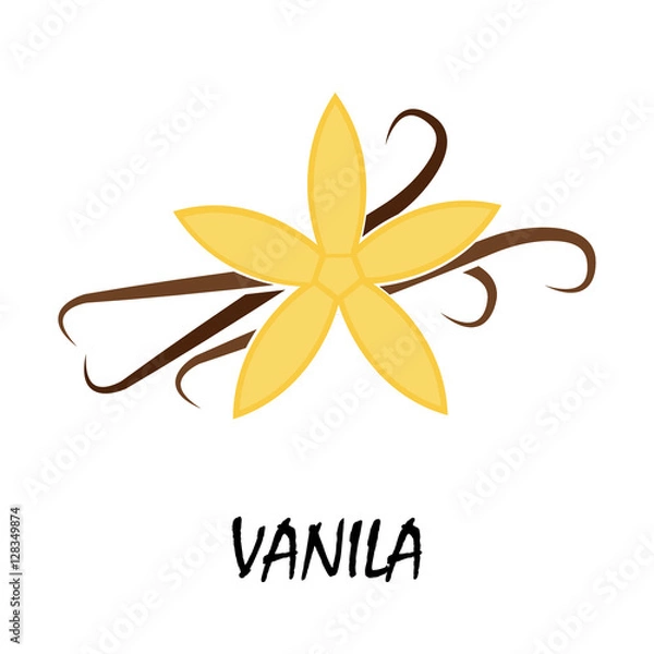 Obraz vanila flat icon