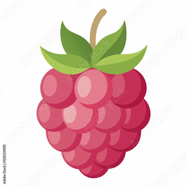 Fototapeta raspberry with leaves
