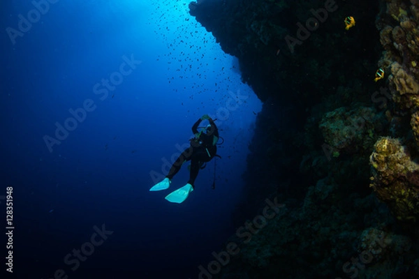 Obraz Diver on the reaf