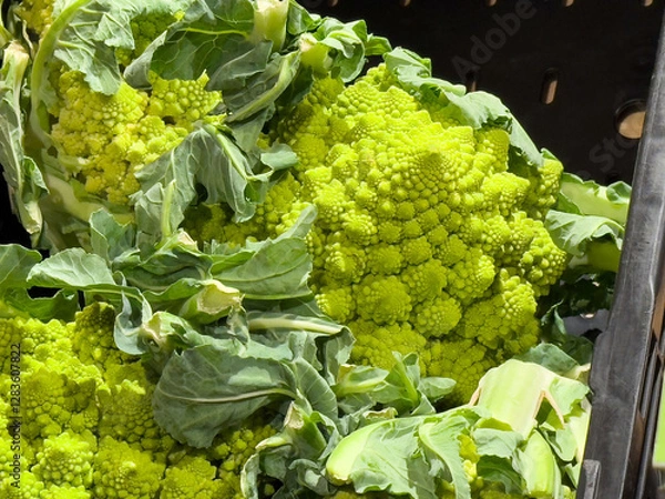Fototapeta Close-up of fresh romanesco cauliflower with vibrant green fractal patterns