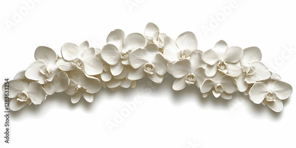 Fototapeta White orchid flowers isolated on a white background, simple and clean, in a minimalist