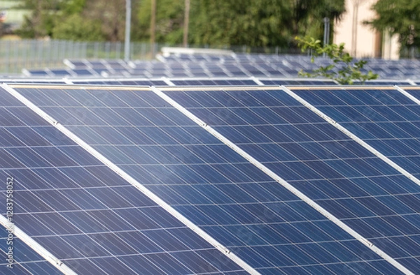 Obraz Solar Panels and Renewable Energy