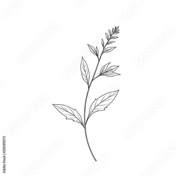 Fototapeta Minimalist continuous line drawing of plant on white background, simplicity