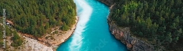 Fototapeta Serene Aerial View of Turquoise River Flowing Through Dense Forest