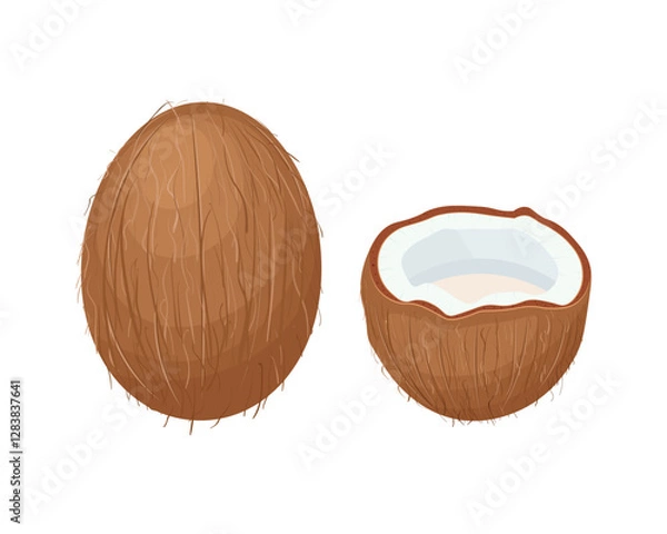 Fototapeta Coconut. Coconut. Coconuts are open and whole. A tropical fruit. Vector illustration