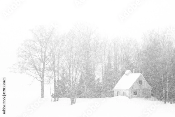 Obraz Sugar Shack in winter