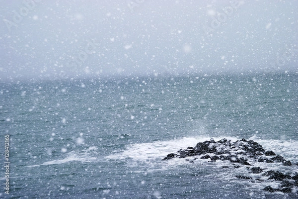 Fototapeta 冬の海