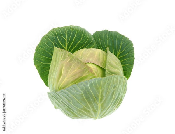 Obraz Morama cabbage isolated on white background, Brassica oleracea