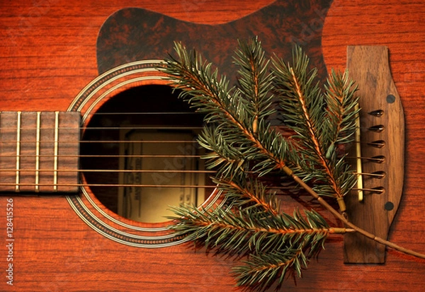 Obraz Guitar with twig