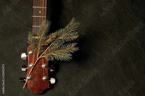 Fototapeta Guitar with twig