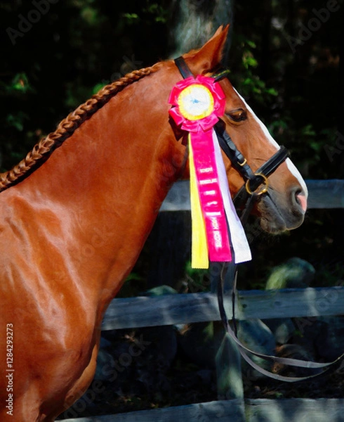 Fototapeta Winning Mare