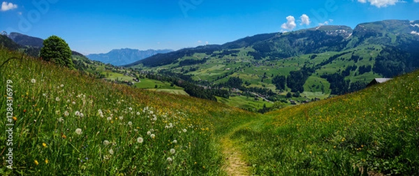 Obraz Frühlingswiese in hügeliger Landschaft