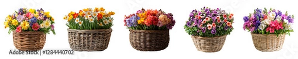 Fototapeta Set, Group of Spring flower basket Isolated on Transparent Background PNG Image.