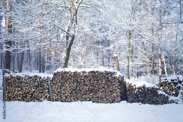 Obraz Holzstapel im Schnee