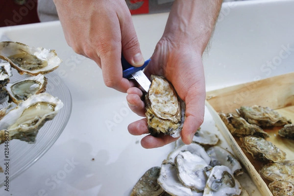 Obraz OTWARCIE OSTRYGÓW