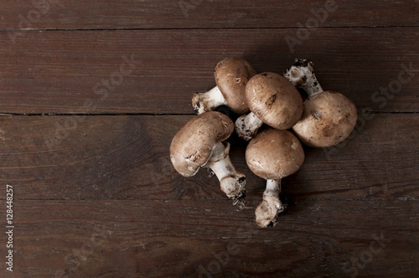 Obraz Brown mushroom