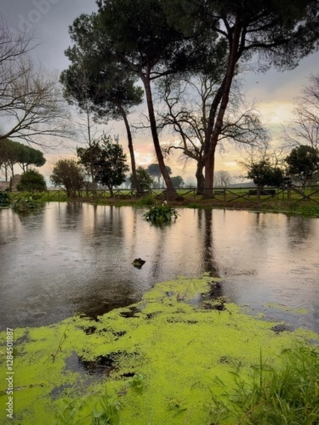 Obraz river in the park