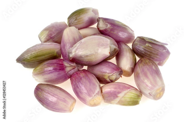 Obraz Obrane szalotki
